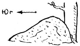 Как по муравейнику определить стороны света рисунок