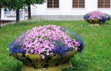 DIY fotka květinových záhonů poblíž domu