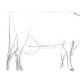 Научете се да рисувате крава на етапи
