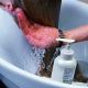 Как правилно да миете косата си с шампоан: ръководство стъпка по стъпка Как правилно да миете косата си или да миете