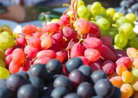 Soiuri de struguri de vin: caracteristici și scop